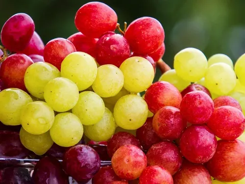 Các loại quả dễ khiến hơi thở có nồng độ cồn