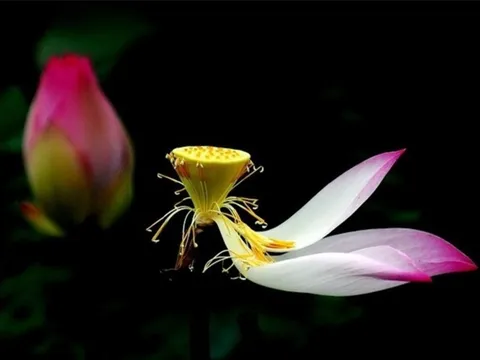 Có 3 lý do vô cùng chính đáng để bạn ngừng mọi đau khổ