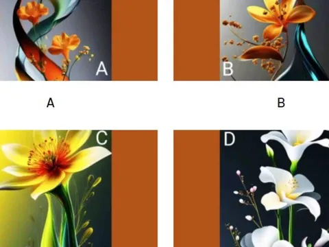 Trắc nghiệm tâm lý: Tốc độ tích lũy tài sản của bạn nhanh đến mức nào?