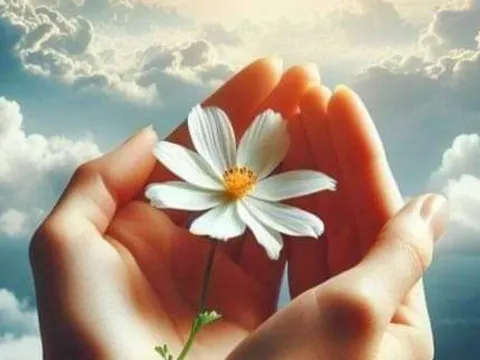 Trước 16/2, 3 cung hoàng đạo được quý nhân nâng đỡ nhưng phải biết mở lời mới chạm thành công