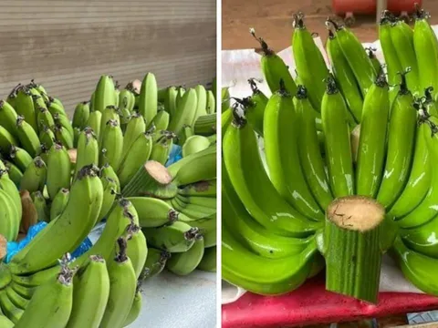 Chọn chuối thắp hương ngày Tết: 5 điều nên tránh để không “hao” lộc, đen đủi trong năm mới