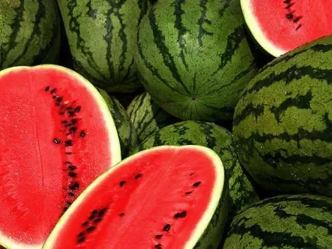 5 loại rau trái mùa ăn không ngon và ít giá trị dinh dưỡng