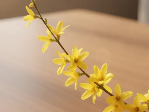 Bình hoa Nghênh Xuân “gây sốt” dịp Tết 2026: Sắc vàng rực rỡ, cành rủ mềm mại vừa sang trọng vừa hút tài lộc