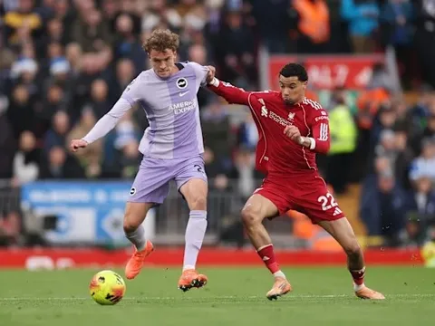 Zamora cảnh báo Liverpool về cú sốc từ Brighton