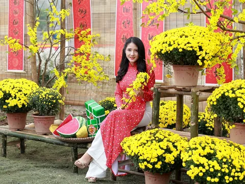 Hoa cúc mâm xôi là biểu tượng của sự sum vầy, tràn đầy niềm vui và may mắn trong năm mới