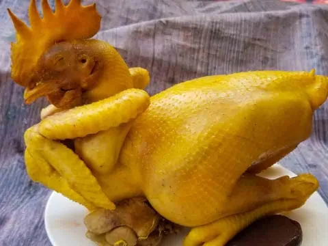 Cách luộc gà cúng đẹp mặt vừa vàng da vừa thơm ngon, không bị đỏ thịt