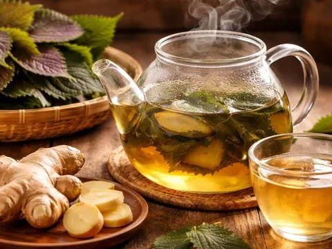 Ngày Tết uống nước lá tía tô thêm gừng: Công dụng bất ngờ