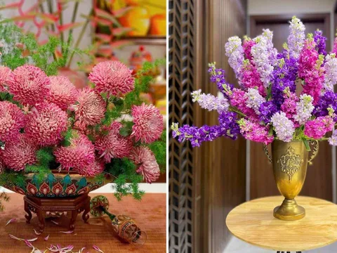 Mẹo cắm hoa nở đẹp, tươi lâu ngày Tết, để cả tuần vẫn tươi rói