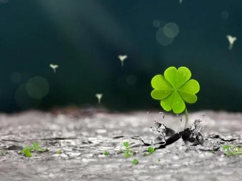 5 bí quyết để năm mới vui vẻ, may mắn và thành công