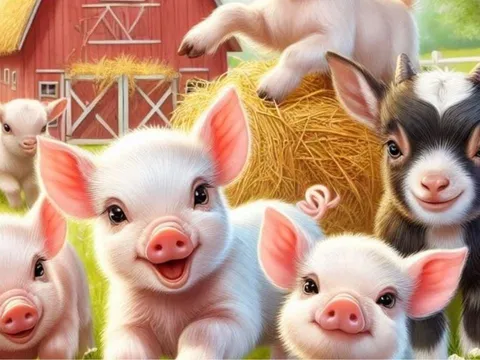 Chỉ cần sống lương thiện, trời sẽ an bài: 3 con giáp lầm lũi gieo phúc, càng kiên nhẫn càng được trả ơn lớn