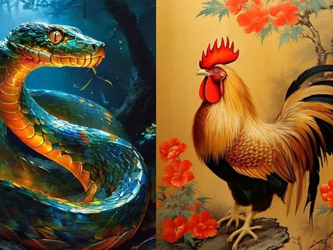 Từ giờ tới giữa năm 2026: 3 tuổi càng bình tĩnh càng có lộc, tiền bạc và cơ hội tự tìm đến