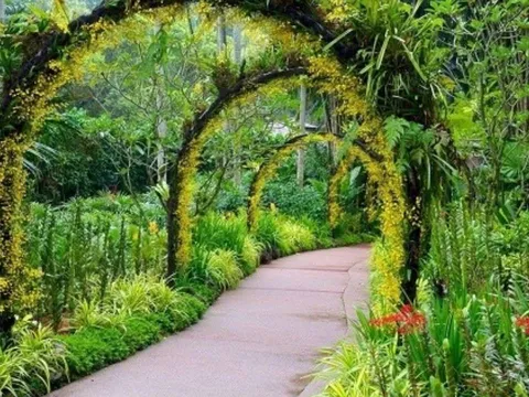 Trắc nghiệm 2026: Muốn đổi đời trong năm tới, bạn nhất định phải làm điều này!