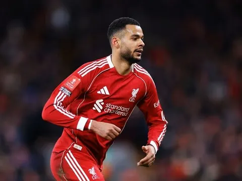 Liverpool bán Gakpo dọn chỗ đón sao 100 triệu bảng