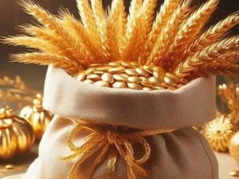 Lật ngược thế nghèo trong tháng Giêng: 3 con giáp Bội Thu Tài Lộc, cơ hội đến dồn dập