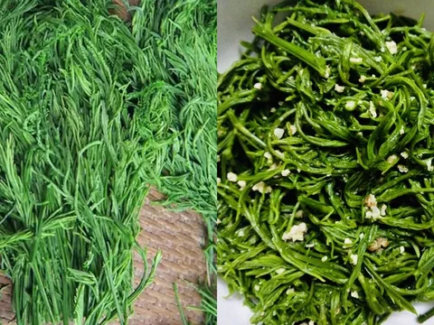Rau thối Tây Bắc: Đặc sản “mùi lạ” gây tò mò, lên bàn ăn Hà Nội giá cao vẫn cháy hàng