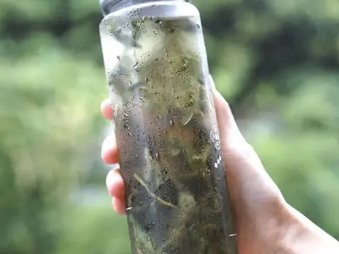 Trà ủ lạnh, cách uống trà gần gũi, ít caffein hơn, giúp trẻ đẹp hơn