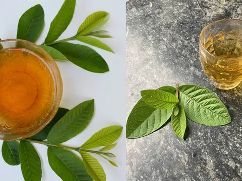 Cách uống nước lá ổi giúp eo thon, tiêu mỡ bụng, giảm cân