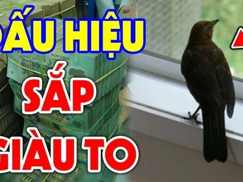 4 con vật vào nhà Thần Tài Ghé Thăm bạn: Càng ở lâu tiền càng nhiều