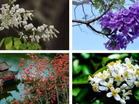 Trắc nghiệm: Món quà bất ngờ tháng 3 bạn sắp nhận được là gì?