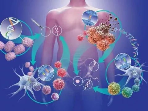 Có 3 căn bệnh phổ biến của người già quyết định đến tuổi thọ của họ