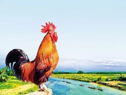 Tỉnh nào một con gà gáy cả ba nước cùng nghe, nơi đâu được mệnh danh “miền gái đẹp” nổi tiếng Việt Nam?