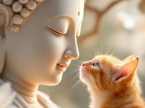  Có Phật dẫn lối, 3 con giáp càng bình tĩnh càng sáng suốt, không tranh giành vẫn gặp vận may lớn