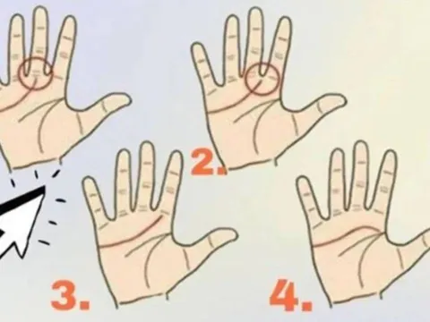 Đường chỉ tay hé lộ bạn có phải “nữ tổng tài” tương lai hay không?