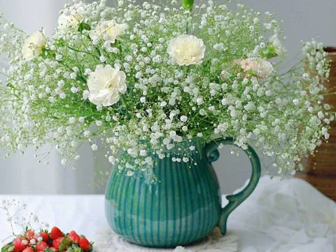 Trắc nghiệm tâm lý: Điều gì trong bạn đang âm thầm nở hoa?