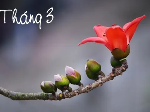 Tháng Ba có gì đặc biệt, số 3 may mắn hay xui xẻo? Bạn thấy số 3 trong đời sống mình thế nào?