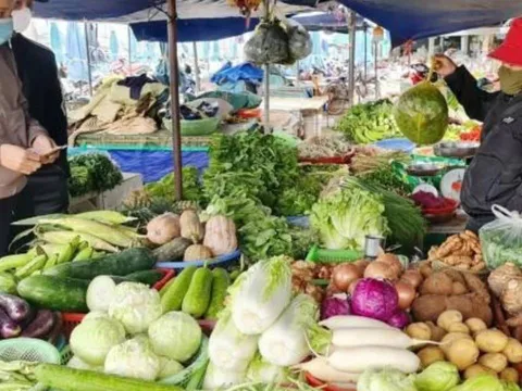 Đi chợ mùa này nên tránh 3 loại rau dễ “ngậm” nhiều thuốc trừ sâu, ký sinh trùng