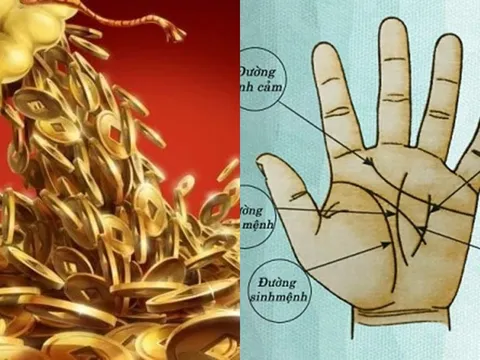 Nếu lòng bàn tay xuất hiện đường vân nhỏ này là dấu hiệu phát tài, hậu vận sung túc