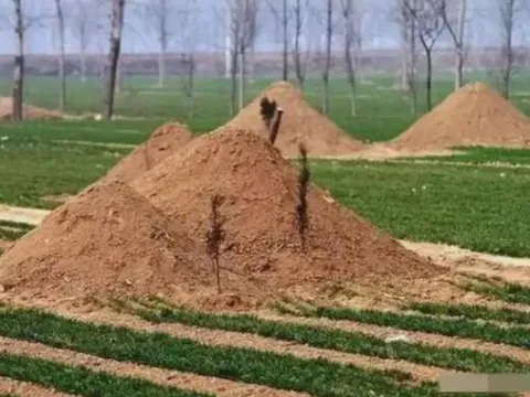 Vì sao người già ở nông thôn vẫn chọn chôn cất thay vì hỏa táng? 4 lý do ít ai để ý