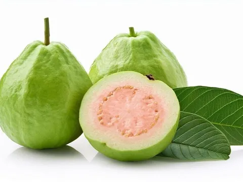 4 lý do nên ăn ổi thường xuyên nếu muốn làn da sáng khỏe tự nhiên