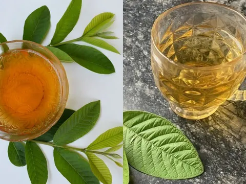 Cách uống nước lá ổi giảm mỡ bụng, giúp eo thon, giảm cân nhanh