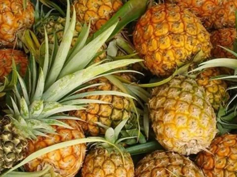 Loại trái cây rẻ bèo ngoài chợ lại ít thuốc trừ sâu nhất: Ăn ngon, bổ dưỡng nhiều người chưa biết