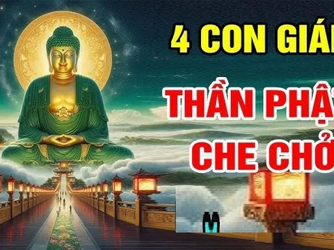 Bóng Phật chở che: 4 tuổi Phước lành tự tìm đến, nạn tự đi qua