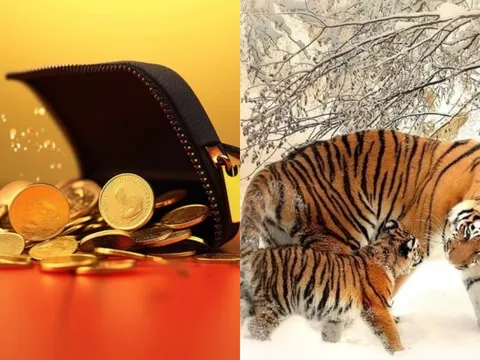 Vượt Tam Tai, 3 năm tới (2026-2029): 4 con giáp giàu nhanh hơn giá vàng tăng, tiền đếm không xuể