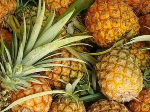 Đây là loại trái cây ít thuốc trừ sâu nhất chợ, giá rẻ nhưng cực tốt cho sức khỏe