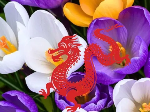 3 con giáp “hữu xạ tự nhiên hương”: Càng âm thầm làm việc, danh tiếng càng lan xa