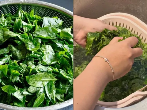 Vì sao người ta phải vò nát rau ngót trước khi nấu?