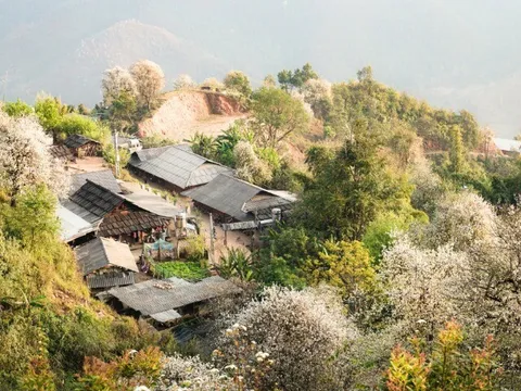 Cách Hà Nội 200 km có một nơi đẹp như tranh vẽ, vừa được săn mây, vừa ngắm hoa sơn tra phủ kín núi cực đẹp