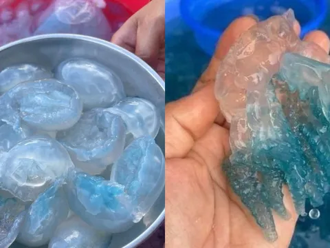 Một đặc sản Huế bỗng “gây sốt” mỗi dịp đầu năm: Màu xanh trong veo lạ mắt, ai từng ăn đều nhớ