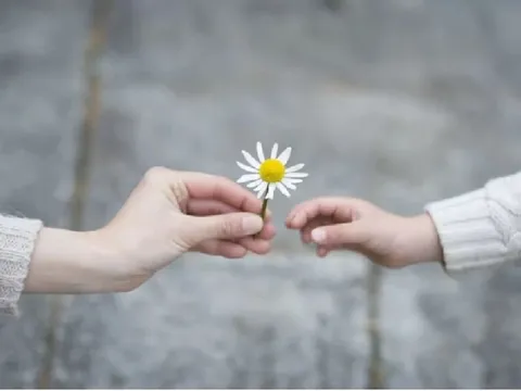 Quý nhân có thể ở quanh ta, bạn không phải tìm đâu xa