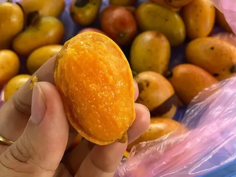 Loại quả xưa chín rụng đầy gốc nay thành đặc sản có hương vị gây "nghiện", 65.000 đồng/kg chị em thành phố thích mê