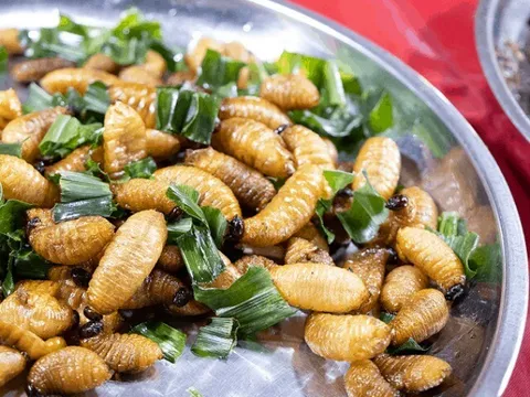 Đặc sản "kinh dị" miền Tây cực béo ngậy được nghiên cứu "đưa vào vũ trụ", giá triệu đồng/đĩa vẫn có người tranh mua