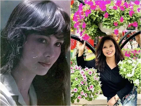 Nữ NSND đình đám Việt Nam bao năm vẫn đẹp rạng rỡ nhưng chưa tìm được người phù hợp, lương 6 triệu ở nhà thuê