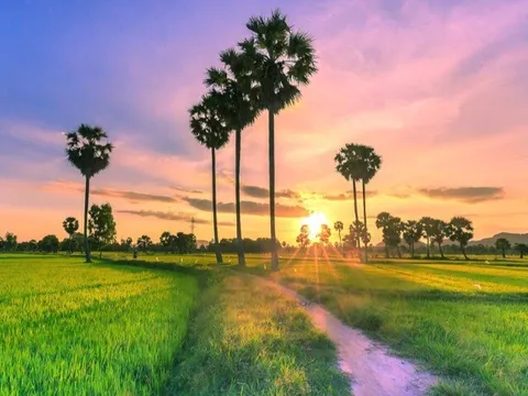 Tỉnh nào ở miền Nam được mệnh danh là “Vùng đất Thánh”, nơi đâu gắn với dấu tích của vua Gia Long trong sử Việt?