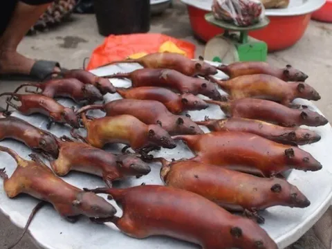 Đặc sản chỉ có ở Tuyên Quang, nhìn "sợ khiếp vía" không ngờ là món ngon được người thành phố săn lùng, 90.000 đồng/kg