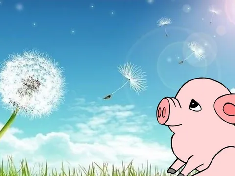 3 con giáp sớm biết buông bỏ điều không nên giữ, vì thế cuộc sống nhẹ nhàng và ít muộn phiền