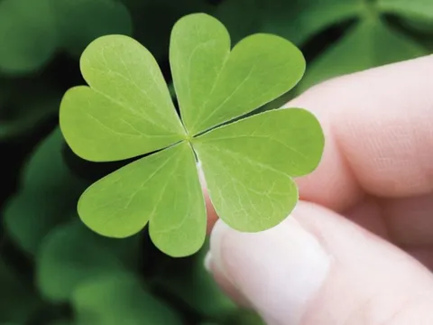 Ai có 1 trong 3 "mùi" này trên cơ thể là dấu hiệu của người có may mắn lớn, ăn sung mặc sướng